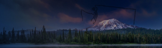 West Coast Plumbing Pumps & Filtration